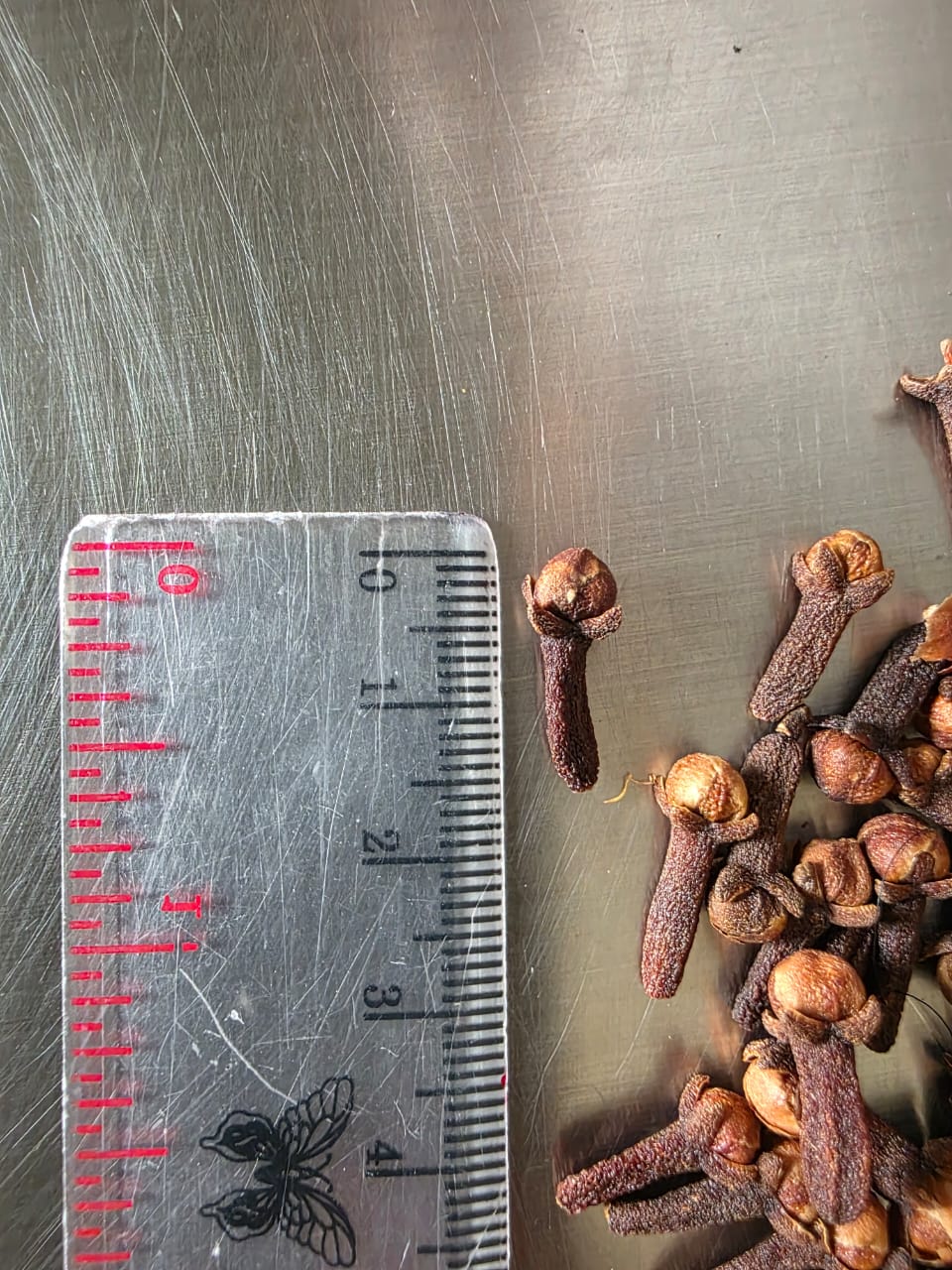 Indonesian cloves close up