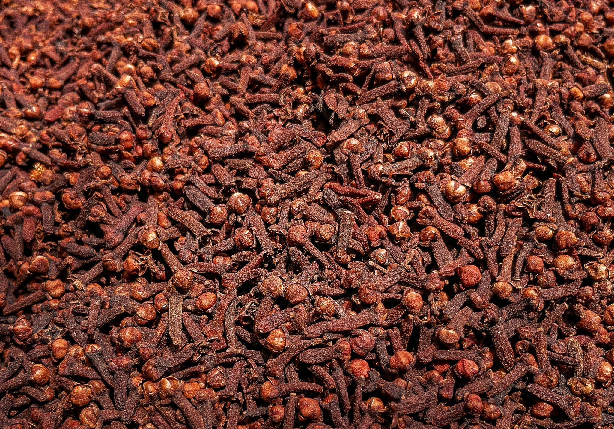 Cloves Export Indonesia